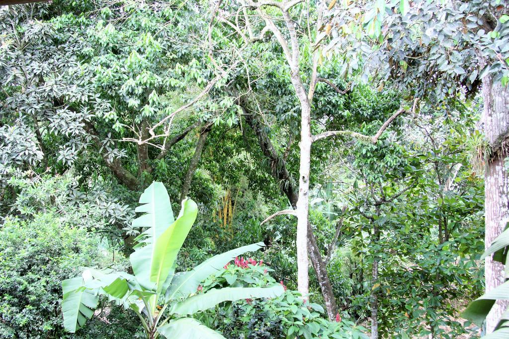 Hotel Monte Real La Fortuna 외부 사진